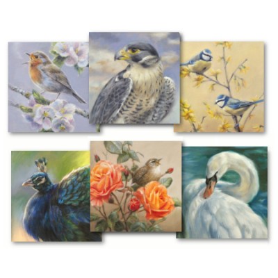 Shop Marjolein Kruijt wildlife artist